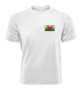 Welsh Flag T-Shirt