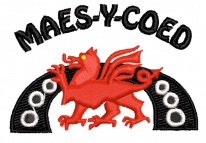 Maes y Coed Primary